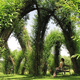 Image for article titled Behold These Incredible Works Of Architecture Made Out Of Living Trees